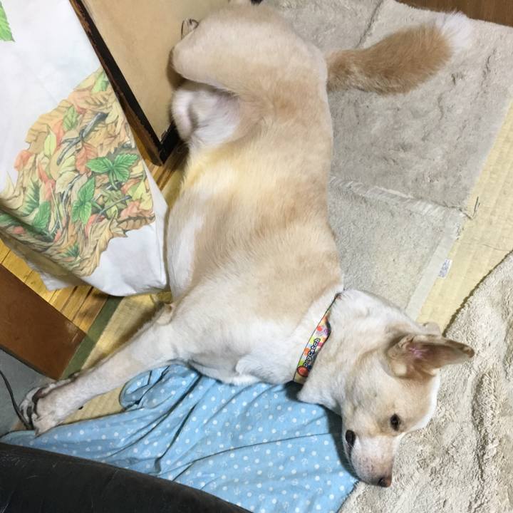 F5be41b3 659c 4768 9026 7819984455ad