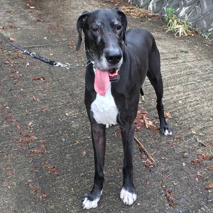 F5be4761 41e3 439a 800f c5df55525683