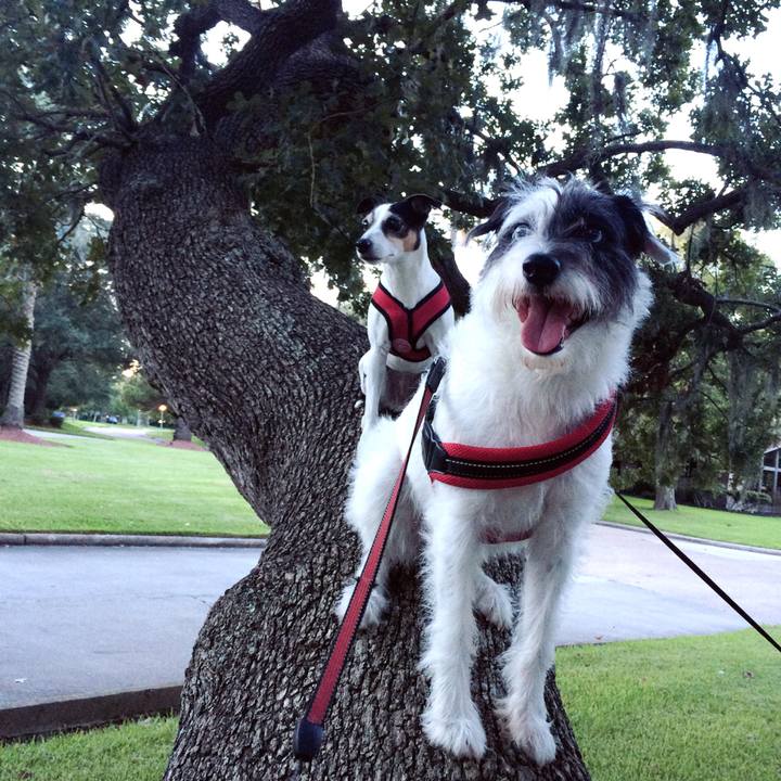 F5becff4 cf9e 4f34 bd26 13bea25771f8