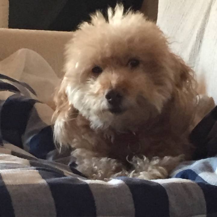 F5bf9853 0569 45ba b96e cf78e88bb43c