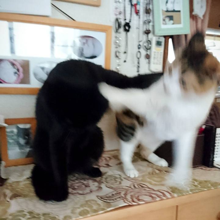 F5bfebbe 1212 49f6 afe4 250e4f2341fb