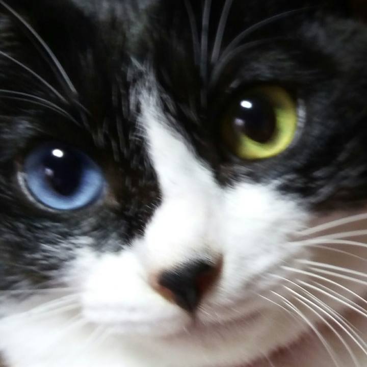 F5c03d2c 3a1b 4b22 9c7b 19f56cbe222f