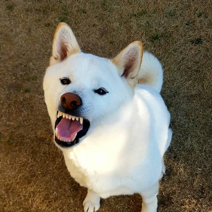 F5c1ad7c 2592 4cef ab9d 8cc3599c70bc