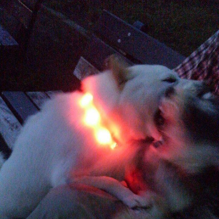 F5c28acc 4a92 4e85 aff0 33ad2f664699