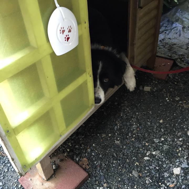 F5c30b37 4133 4f3c 95d4 3472193c9d6e