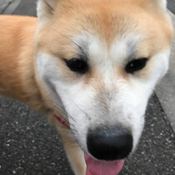 F5c30bcb 988d 4728 9e79 3ccfce9c97b7