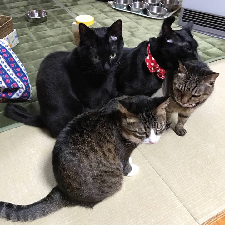 F5c31e43 1774 4a6b 8664 8074ef6d6bbc