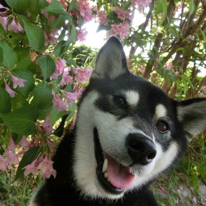 F5c32bde dffc 4134 86a5 2afa58914068