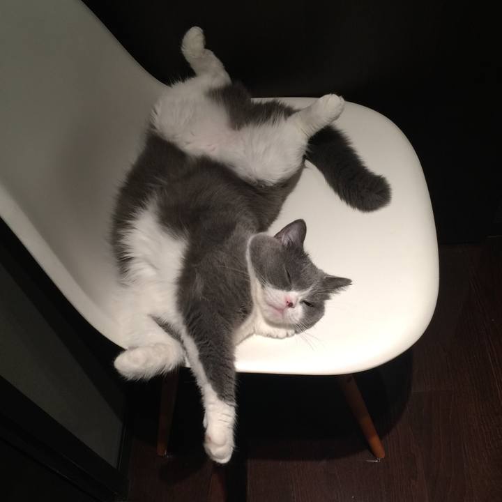 F5c3a435 2fe4 407d b509 4b63d8fbf0bc