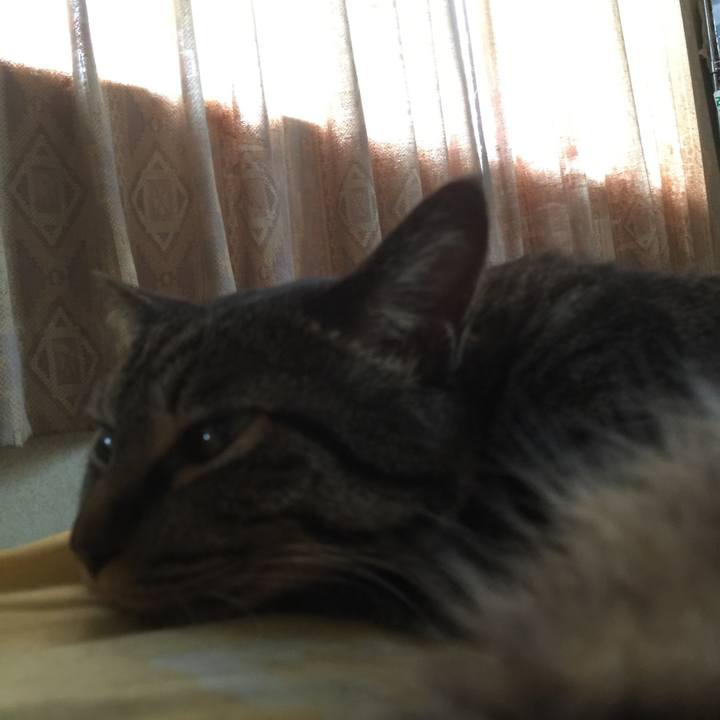 F5c428cf cb30 42b8 b426 d7f2a271d9f0