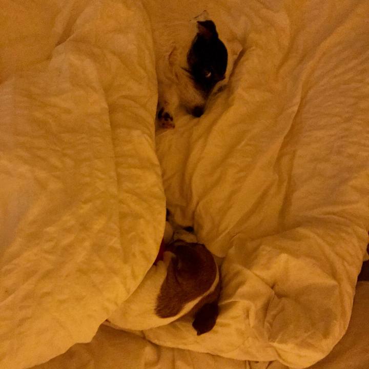 F5c43c1c 3b1c 4ea0 a4bd 09115af95e66