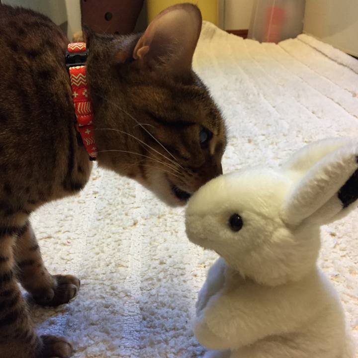 F5c446d9 a97a 4fab 98b2 5742975f0ade