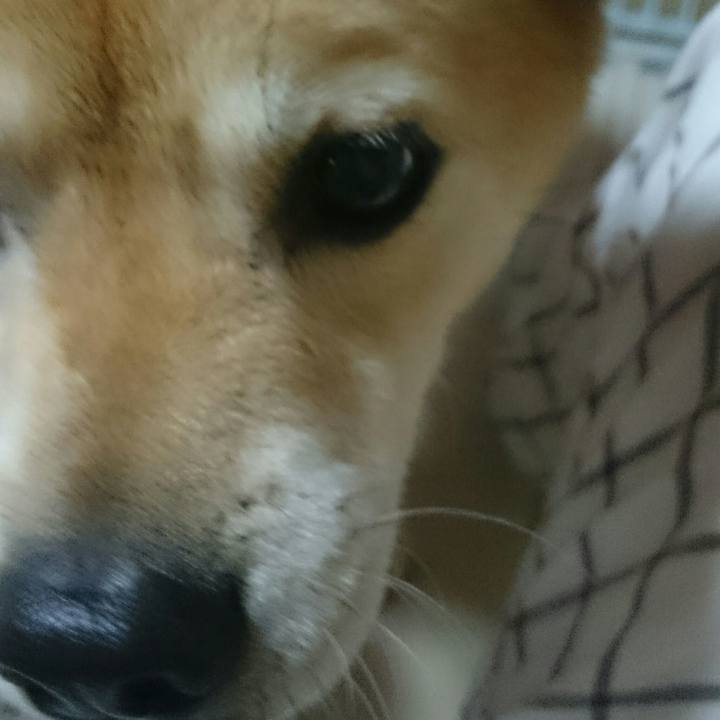 F5c4e7f3 a057 405e 8af0 25fa4f216b29