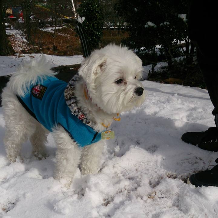 F5c518b7 345d 4636 8f68 149b55818934