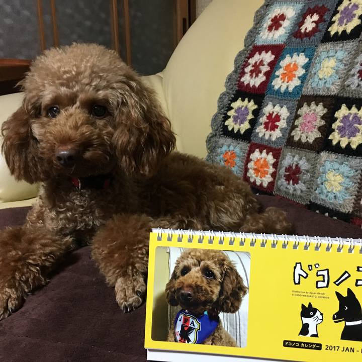 F5c54e4f b234 410d 88a6 683f215bb3ac