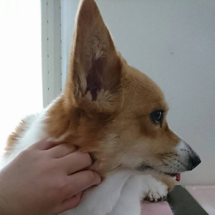 F5c57d7a fb3c 413e b94d 5b92b4021b50