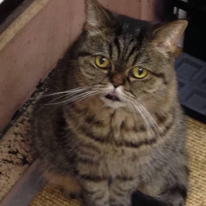 F5c63f7d 1d52 4c15 9dd5 09c518248182