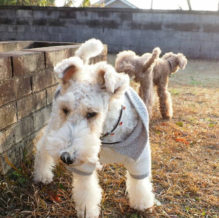 F5c742e2 176e 4cd1 b079 b0a98dec33be