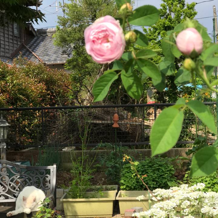 F5c78e1c dbac 4fa8 92cf 386f7a53b58b