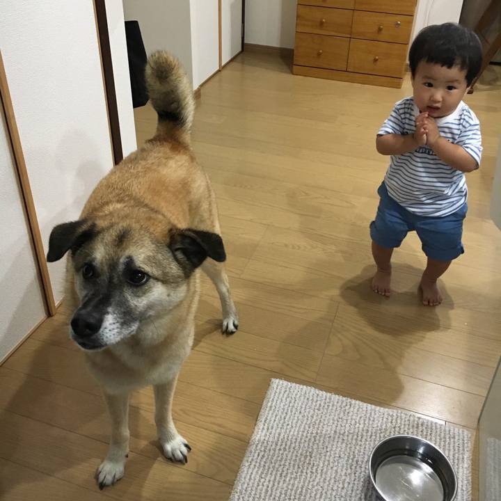 F5c82267 2add 4a05 b2b2 f10959dfd435