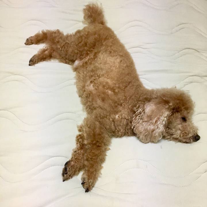 F5c8297c 1226 49a3 8764 57d370bdd2a3