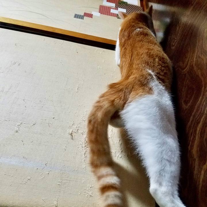 F5c899a9 28b6 4704 80ea f5fcf67ddd68