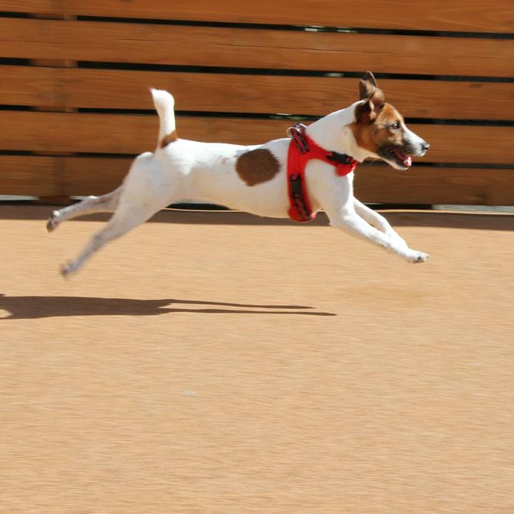 F5c8b34a 3861 4f18 a164 c69e9c44fa75