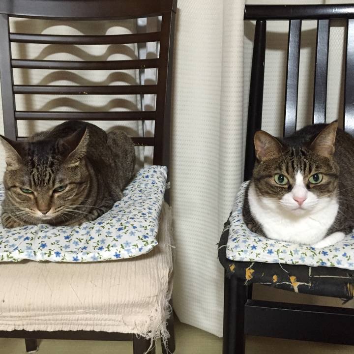 F5c93576 0799 4c72 8156 2484fb4c13a8