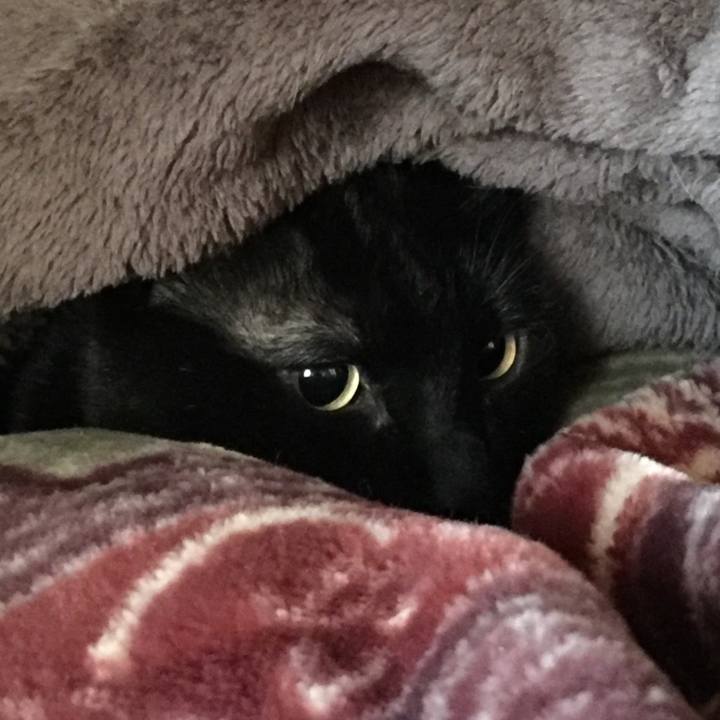 F5cb0250 398a 4fdc b93d aab6d00eb081