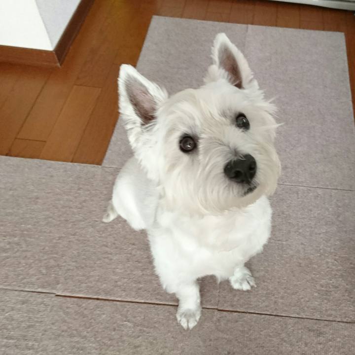 F5cbbe13 06f9 4f8d 908b 5c72fe26a263