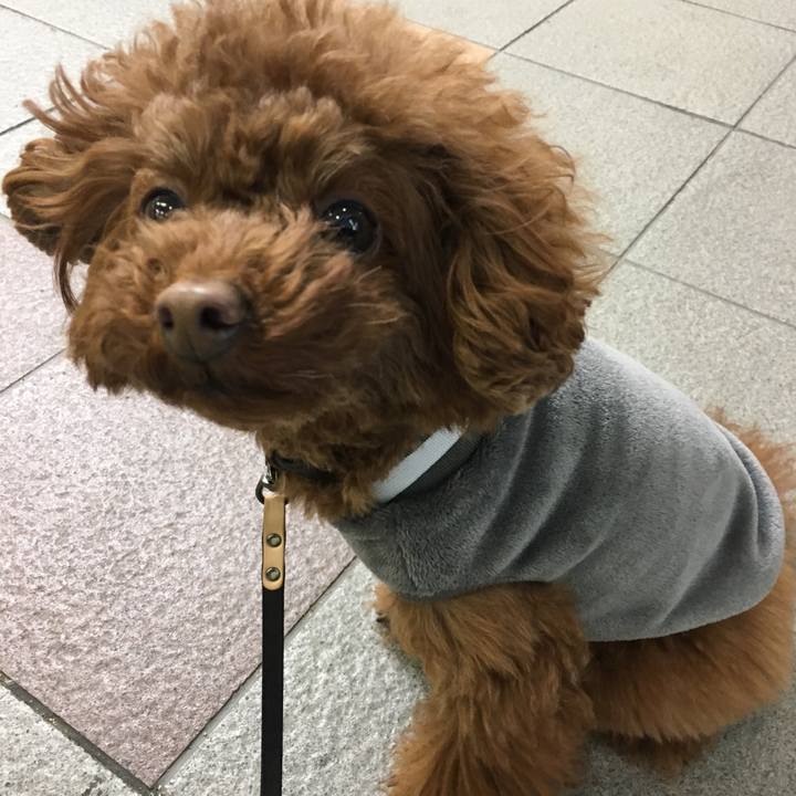 F5cbef12 7e1e 4e1d 969d 3f98f8a1ec87