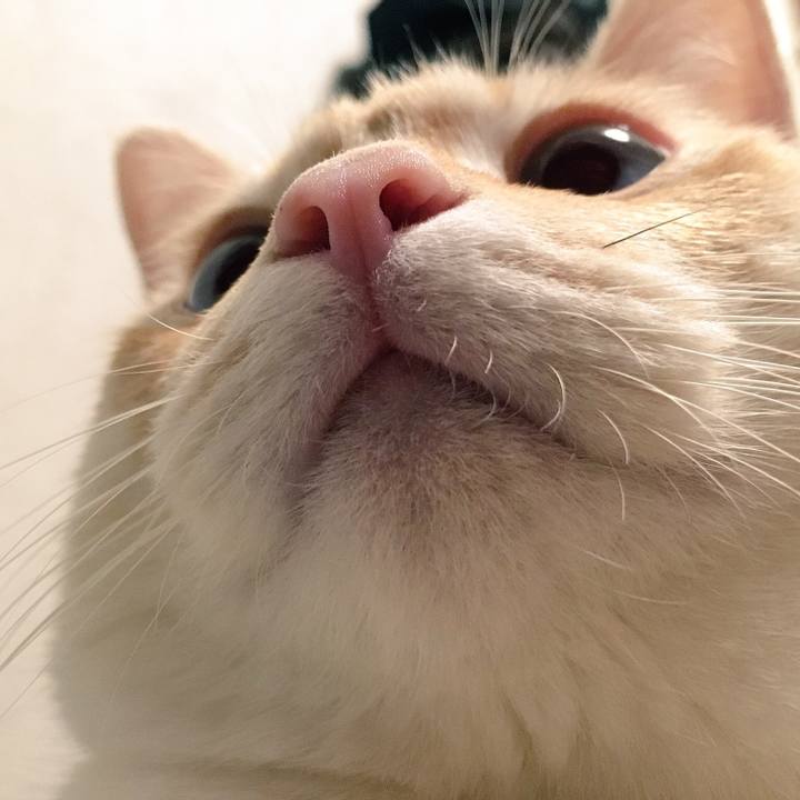 F5cc7f2e 4433 4bef 8952 8a62492a37de