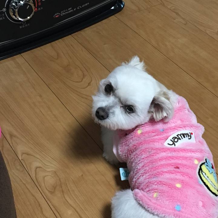 F5cd0fc0 4956 4abc b3c4 1edc047c8476