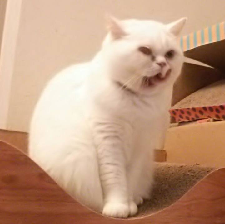 F5cd5c01 3548 478d 9ce2 110e105a4451