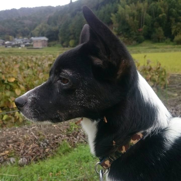 F5cd7485 d92e 4763 8e31 9b95f7c05ca7