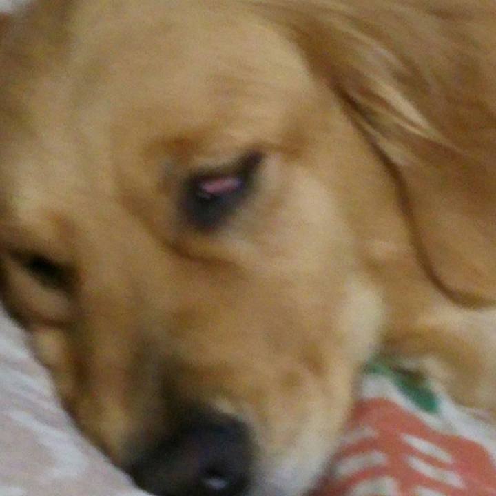 F5cd8eba e2fe 405b a3de 343bb298f57d