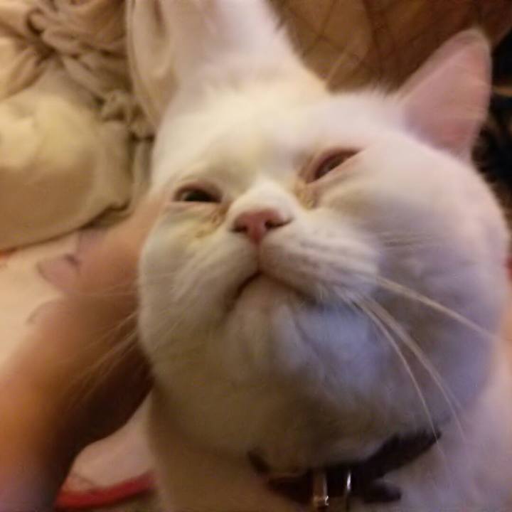 F5cdb97a ec1d 41d6 8733 30239e676109