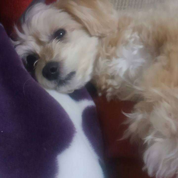 F5cde716 ff96 4e61 b8b5 24cbb3012ca8