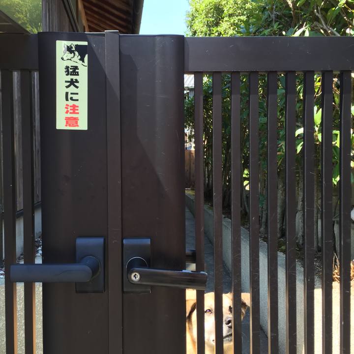 F5cdef58 5aba 492c 89c5 ffc2f47a649e