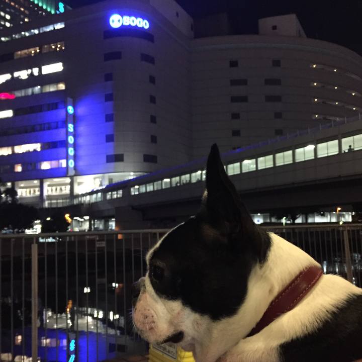 F5ce1dfd 2116 4683 bdd7 49bef52943dc