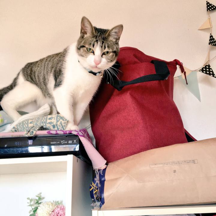 F5ce7766 4fac 4791 b9a5 d5b5eaaa29ca