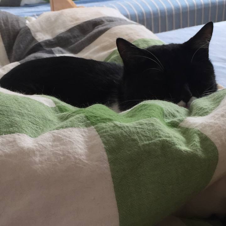 F5ce986a 0378 4a19 9162 816b1ab11214