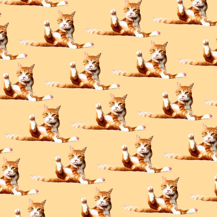 F5cee1c8 a22f 4748 b219 a43cf442db83