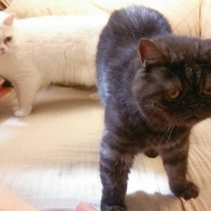 F5cf15a1 dc56 481e 8a70 4fcf737e875d