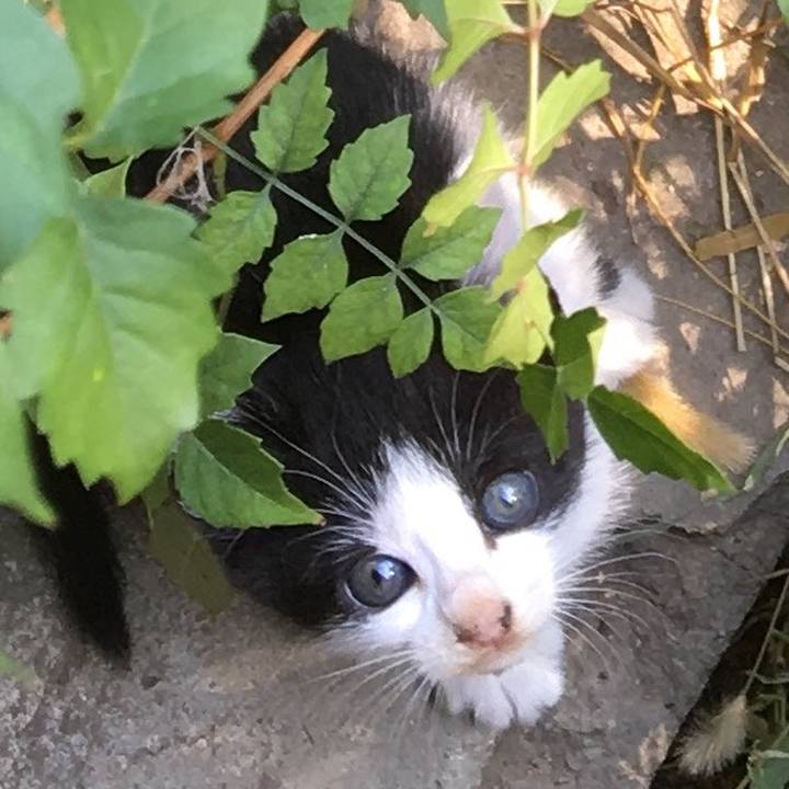 F5cf74a6 234f 4ca0 bc90 13e685227a33