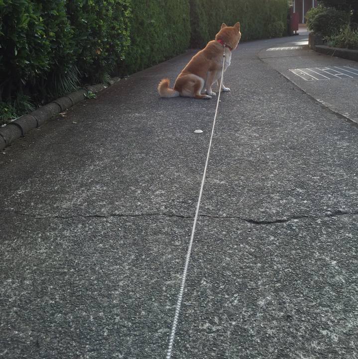 F5cf9766 cef0 4800 8793 1c94b2057926