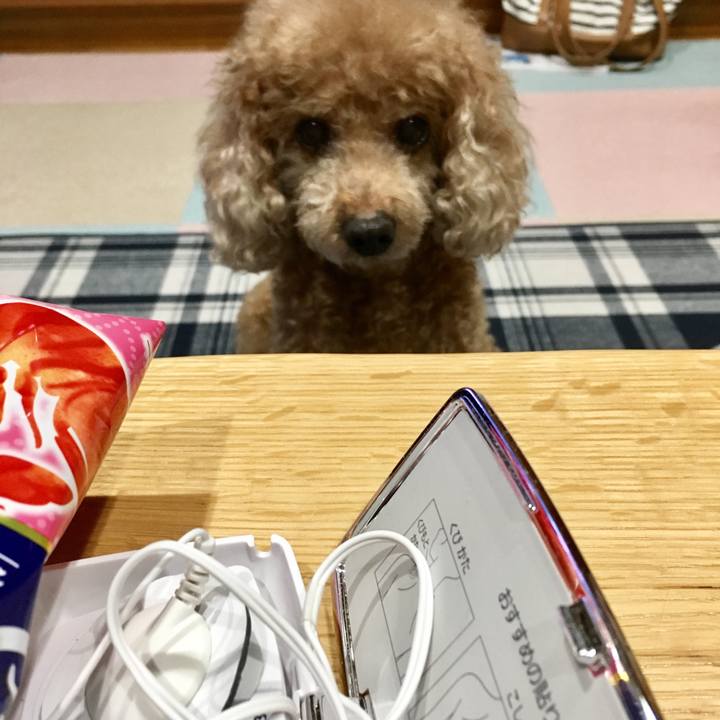 F5cfcc32 60fd 41be a9fc a723ef7d04cf