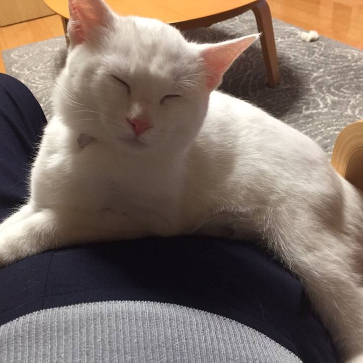 F5d0521a 25f2 4157 9a01 20a13cfdeb1b