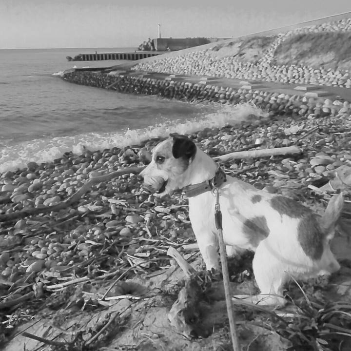 F5d0f7b4 fc6c 4621 a819 01089c7576e2