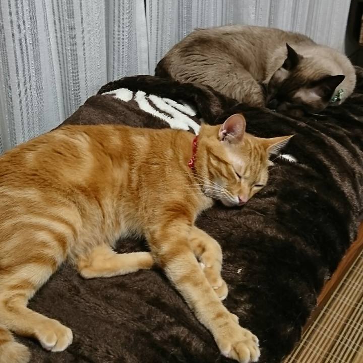 F5d14507 0213 4324 9702 fbbe03bfe785